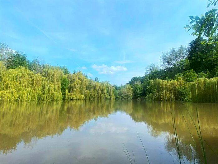 Land For Sale In Mitnell Lane, Richards Castle, Ludlow, SY8