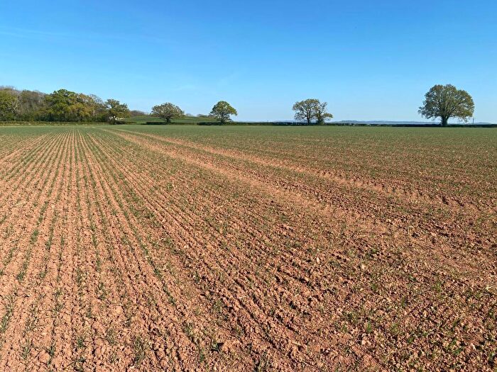 Farm Land For Sale In Arable Land Near Churcham, Gloucester, Gloucestershire, GL2
