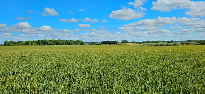 Farm Land For Sale In Babdown, Tetbury, GL8