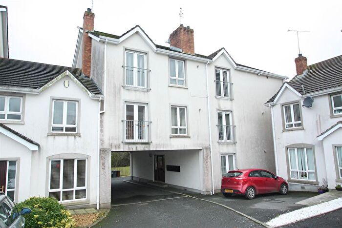 2 Bedroom Flat For Sale In Drummond Brae, Ballynahinch, BT24
