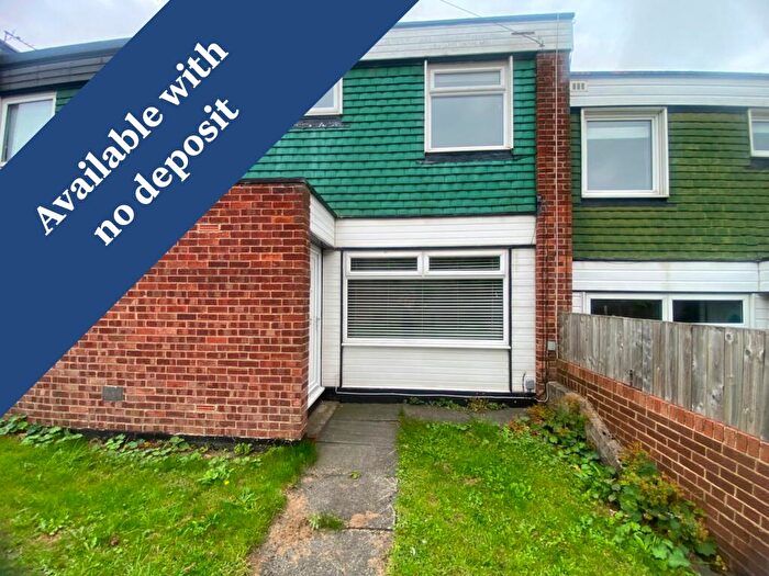 3 Bedroom Terraced House To Rent In Hillside Place, Gateshead, NE9