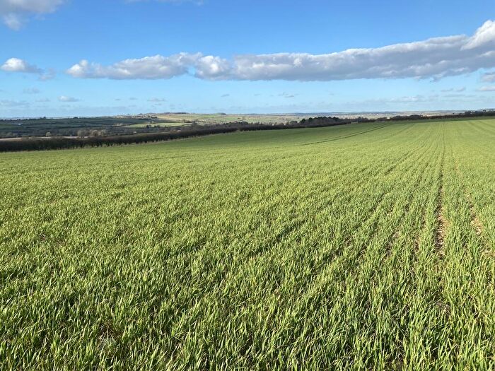 Farm Land For Sale In Lot - Arable Land Off Leafield Road, Shipton-under-Wychwood, OX7
