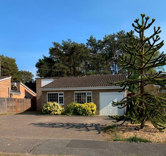 3 Bedroom Detached Bungalow To Rent In Ivy Close, Ringwood, Hampshire, BH24