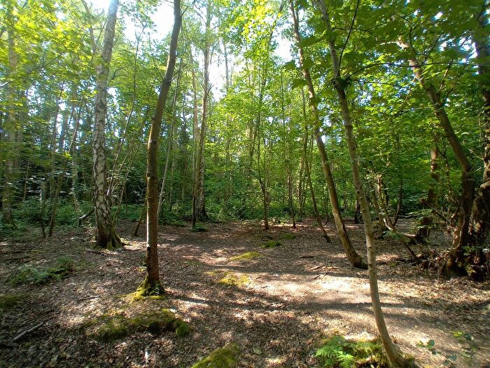 Land For Sale In Larkspur View, Wokingham, RG41