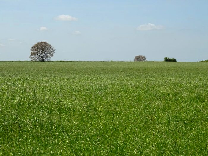 Land For Sale In Woodnesborough, Sandwich, CT13