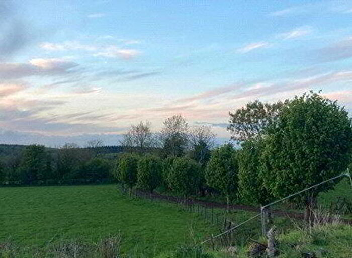 4 Bedroom Detached Bungalows For Sale In Site A Fpp Magheramore Road, Coleraine, BT51