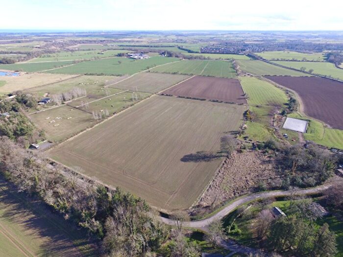 Farm Land For Sale In Land At North Acton, Felton, Northumberland, NE65