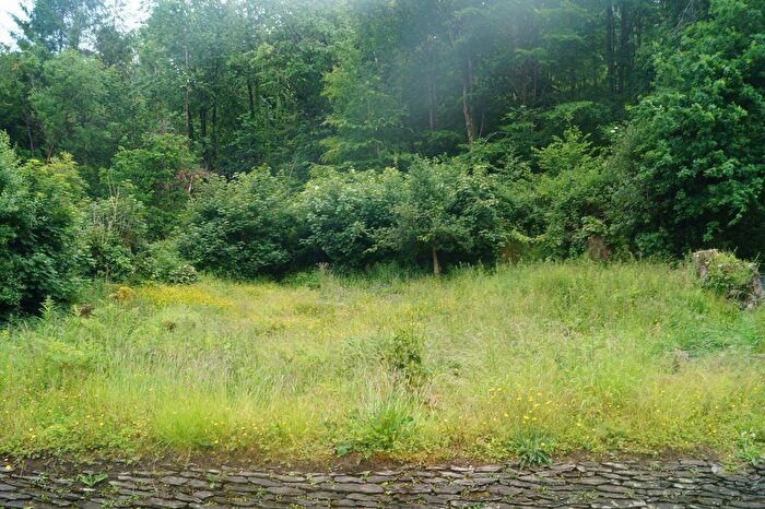 Land For Sale In Drefelin, Drefach Felindre, Llandysul, SA44