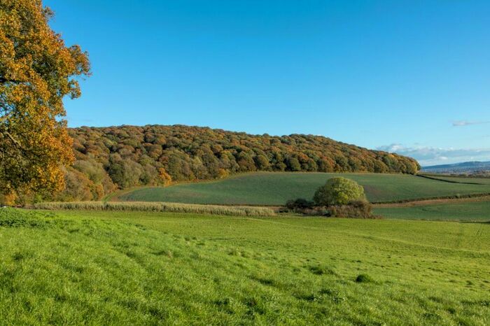 Land For Sale In Brinsop, Hereford, Herefordshire, HR4