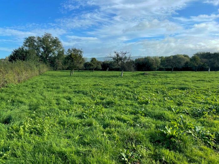 Farm Land For Sale In Wells Road, Latcham, Wedmore, BS28
