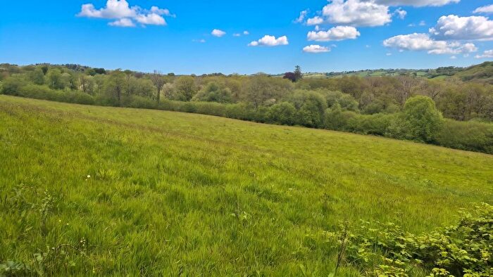 Land For Sale In Land At Brynglas, Llangeitho, SY25