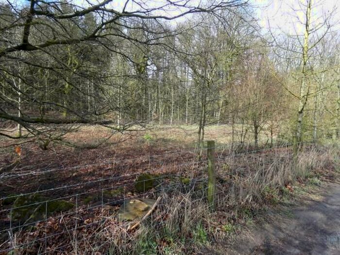 Land For Sale In Long Causeway, Sheffield, S10
