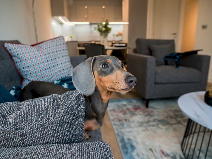 2 Bedroom Apartment To Rent In Flat :: The Quarters, M1