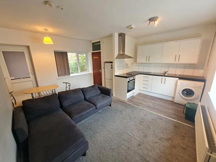 1 Bedroom Flat To Rent In Little Water Street, Carmarthen, SA31