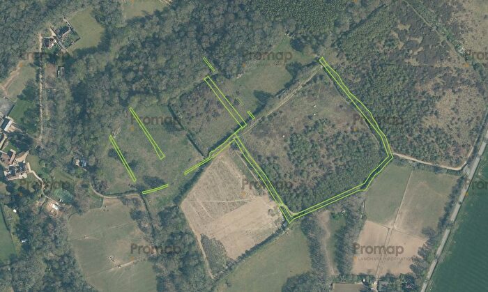 Land For Sale In Stane Street, Ockley, RH5