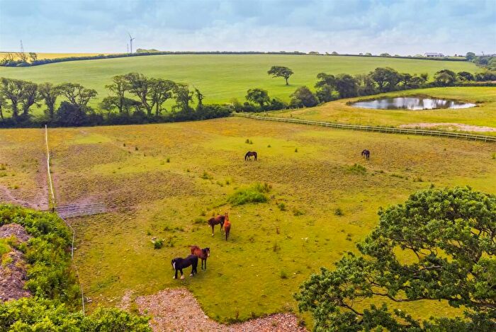 Land For Sale In West Putford, Holsworthy, EX22