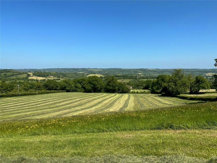 Land For Sale In Land At Stockland Hill, Stockland Hill, Honiton, Devon, EX14