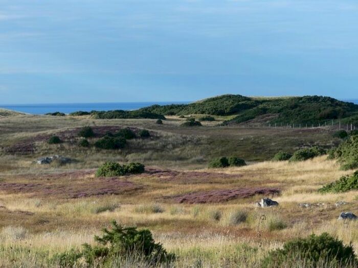 Land For Sale In Portskerra, Melvich KW14