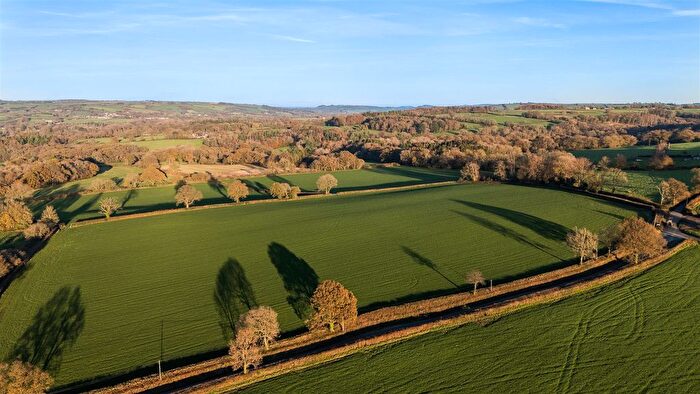 Land For Sale In Land At Herridge Farm, Holditch, Chard, TA20