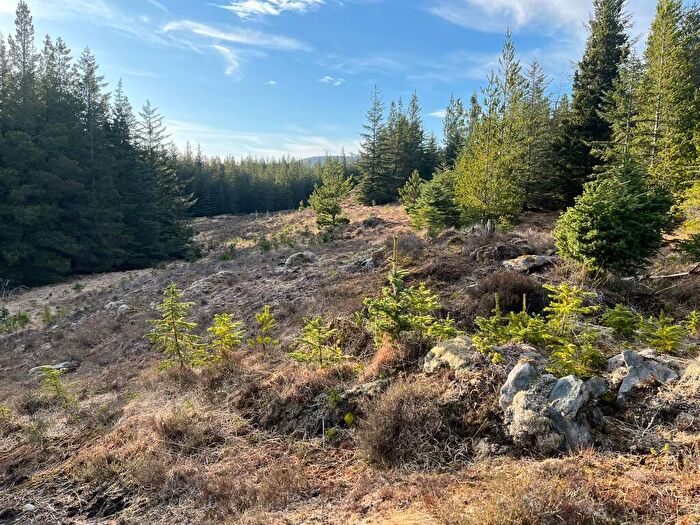 Land For Sale In Ghriama Wood, Lairg, Sutherland, IV27