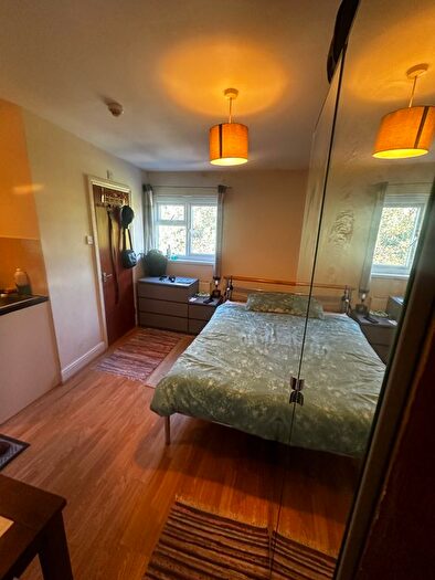 Studio To Rent In Bonham Road, Brixton, SW2