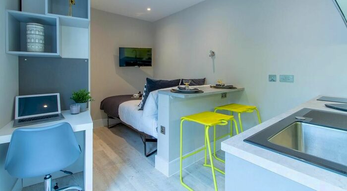 1 Bedroom Studio To Rent In Chesnut Road, Tottenham, London, N17