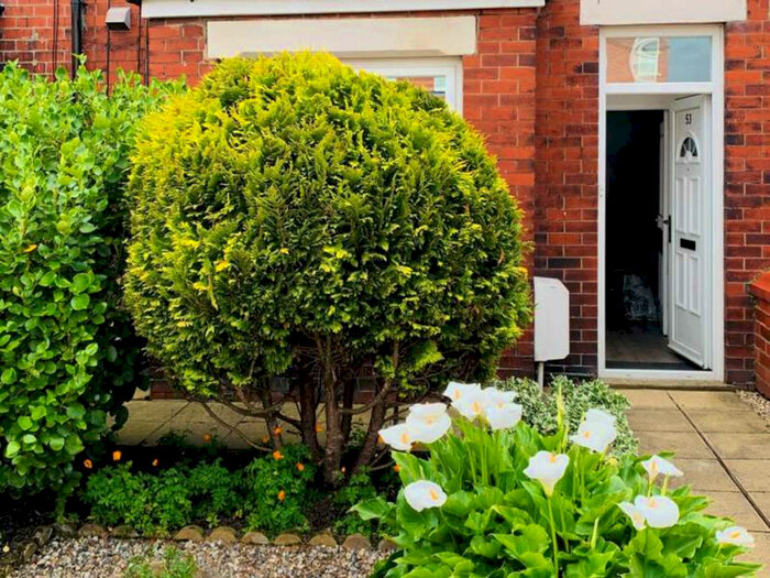 3 Bedroom Terraced House To Rent In Trent Street, Lytham St. Annes, FY8