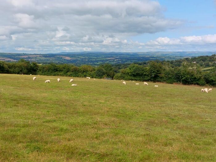 Land For Sale In Stoke Climsland, Callington, PL17