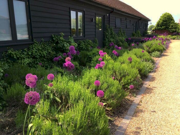 1 Bedroom Barn Conversion To Rent In Dane End, Ware, SG12