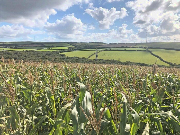 Land For Sale In Trevilson, St Newlyn East, Newquay, Cornwall, TR8