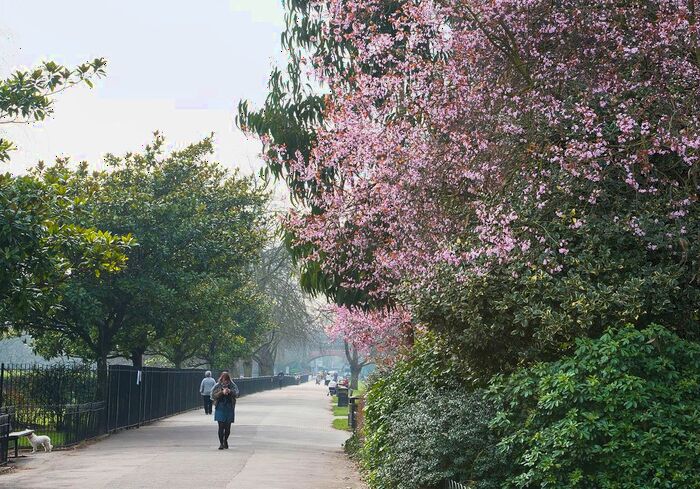 2 Bedroom Flat To Rent In Davisville Road, Shepherds Bush, London, W12