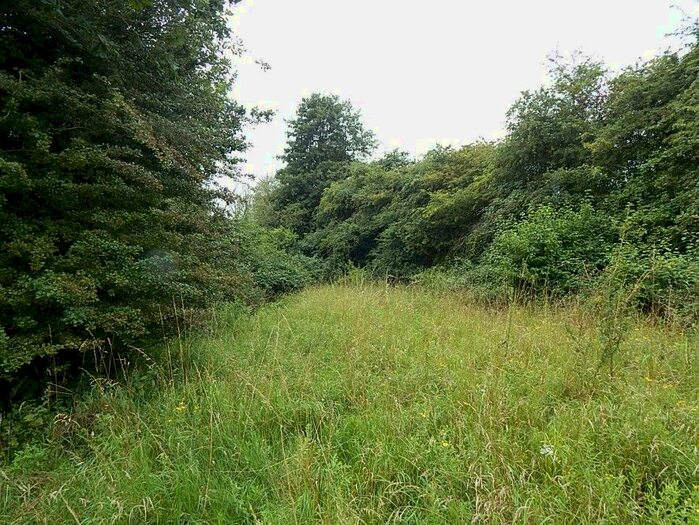Land For Sale In Land Off Overwood Lane, Forncett St. Peter, Norfolk, NR16