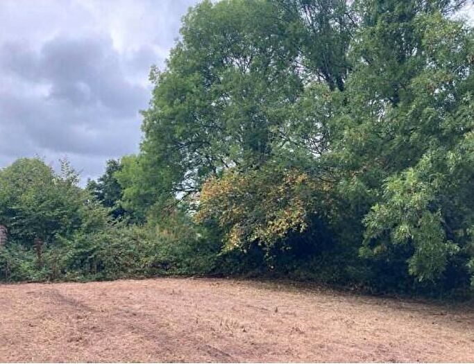 Land To Rent In , EX36