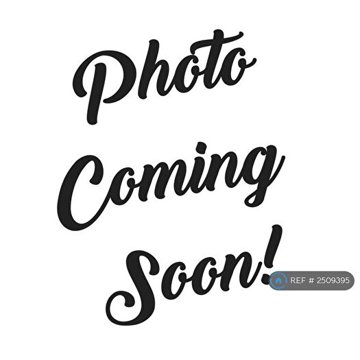 3 Bedroom Semi-Detached House To Rent In Springfield Avenue, Shirebrook, Mansfield, NG20