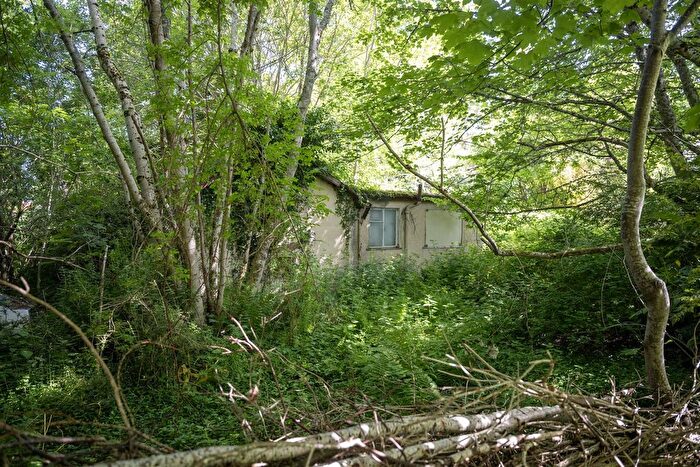 2 Bedroom Land For Sale In Montana, Wester Galcantray, Cawdor, Nairn, IV12