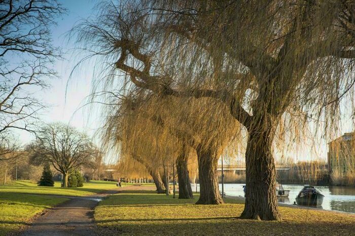 1 Bedroom Apartment To Rent In Clifton House, Broadway, Peterborough, PE1