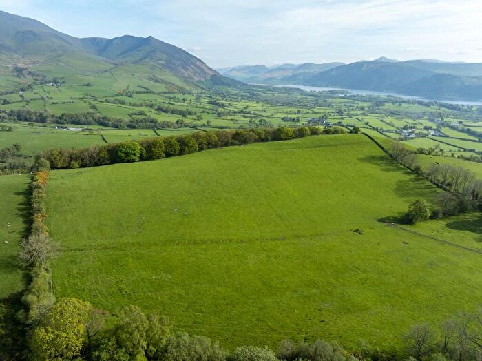 Farm Land For Sale In Lot - Land At Robin Hood Farm, Bassenthwaite, Keswick, Cumbria, CA12