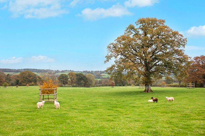 Country House For Sale In Michaelchurch Escley, Hereford, Herefordshire, HR2