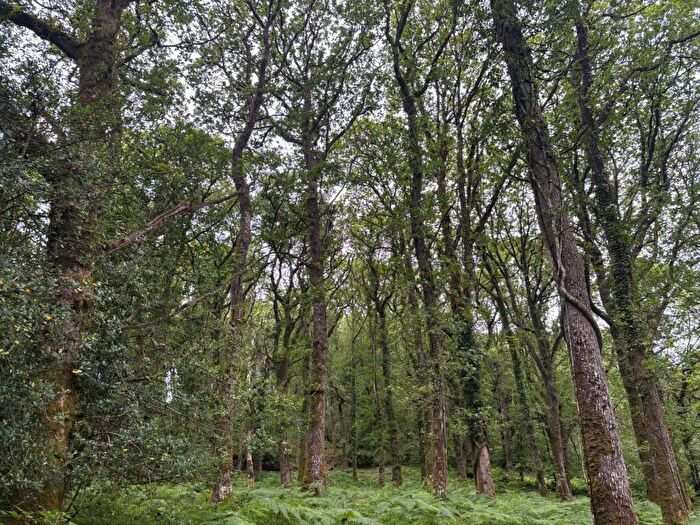 Land For Sale In Oakford, Tiverton, Devon, EX16