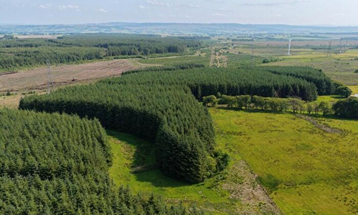 Land For Sale In Ardochrig Wood, S.Lanarkshire, G75