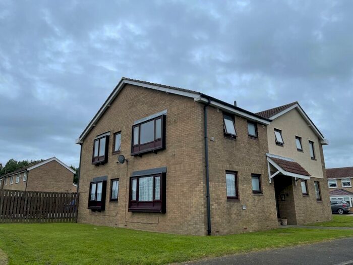Studio To Rent In Rosedale, Hadrian Lodge West, Wallsend. . **Great Value**, NE28