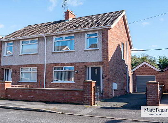 3 Bedroom Semi-Detached House For Sale In Irwin Drive, Craigavon, BT66