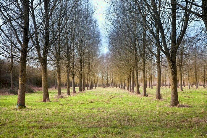 Land For Sale In Catsgore, Somerton, Somerset, TA11