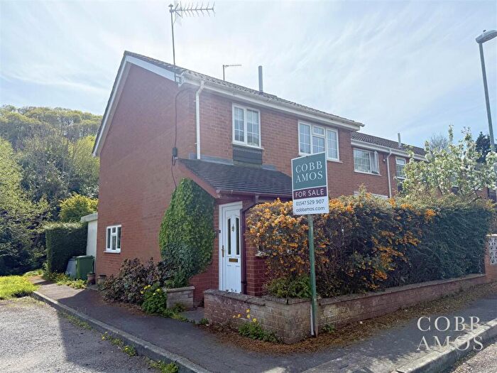 3 Bedroom End Of Terrace House For Sale In The Cwm, Knighton, LD7
