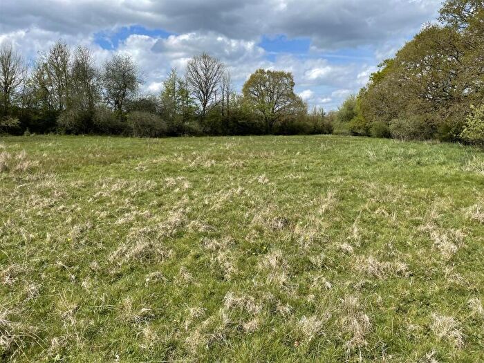 Land For Sale In Westwood, Broadclyst, EX5