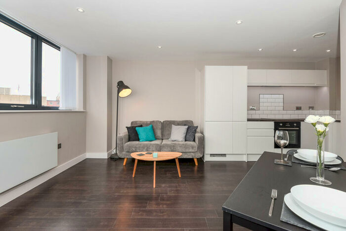 1 Bedroom Apartment To Rent In The Fitzgerald, West Bar, S3