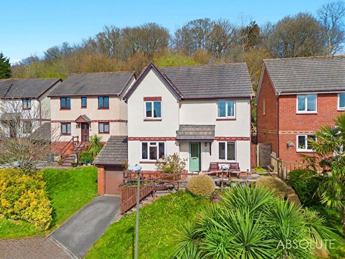 5 Bedroom Detached House For Sale In Barn Owl Close, Torquay, TQ2