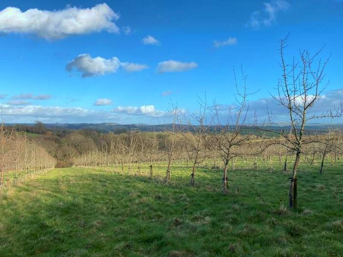 Property For Sale In Gollop Orchard, Netherbury, Bridport, Dorset, DT6