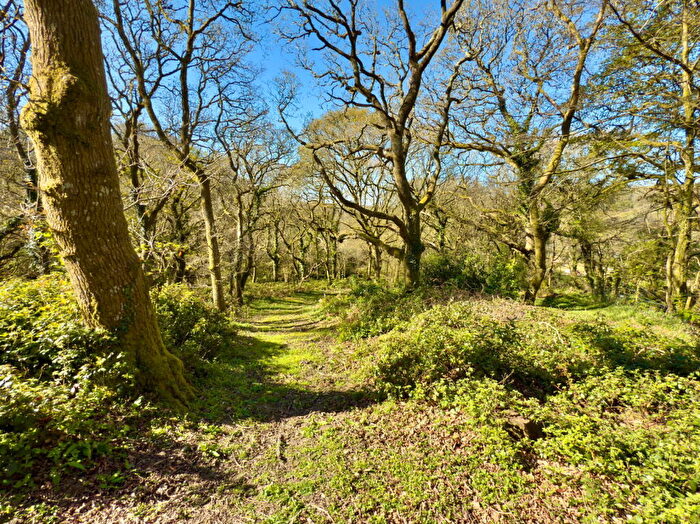 4 Bedroom Plot For Sale In Darrynane, Coombe Road, St Breward, PL30