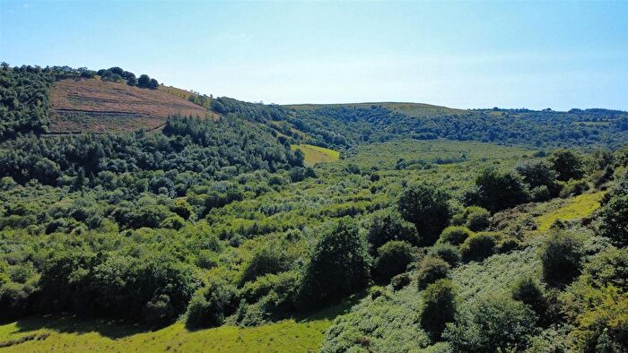 Land For Sale In Cwmdu, Talley, Llandeilo, SA19